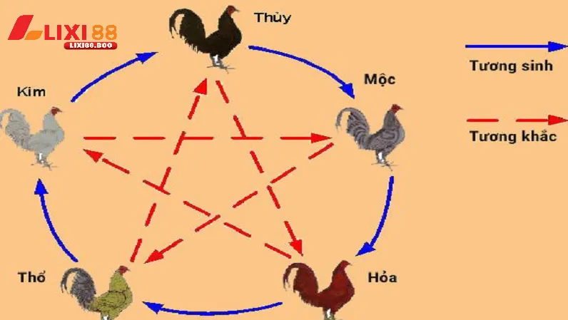 Cách xem mạng đá gà theo màu - Bí quyết không thể bỏ qua - id Cách xem mạng đá gà theo màu - Bí quyết không thể bỏ qua